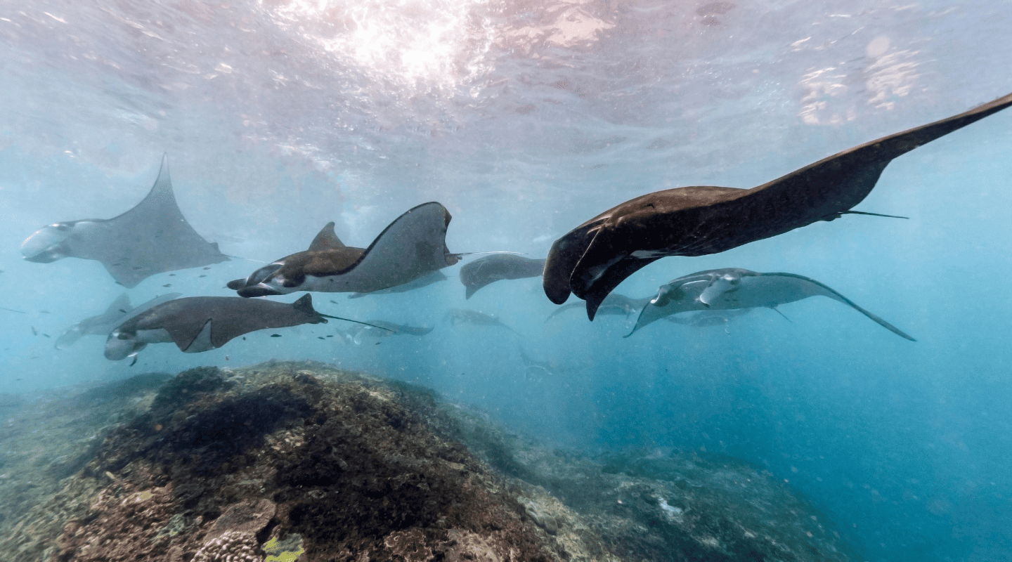 Viajar sola en grupo reducido Maldivas