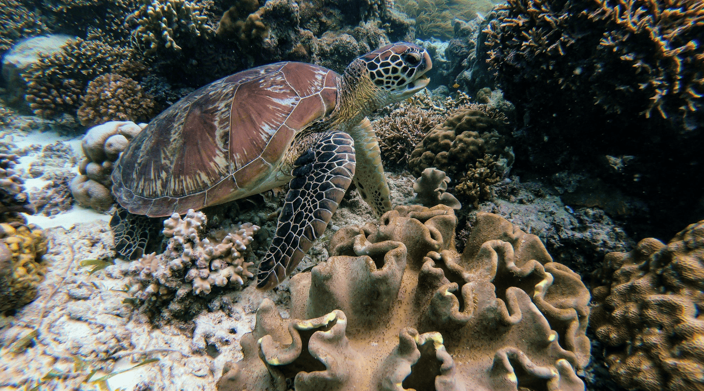 Viajar sola en grupo reducido Maldivas