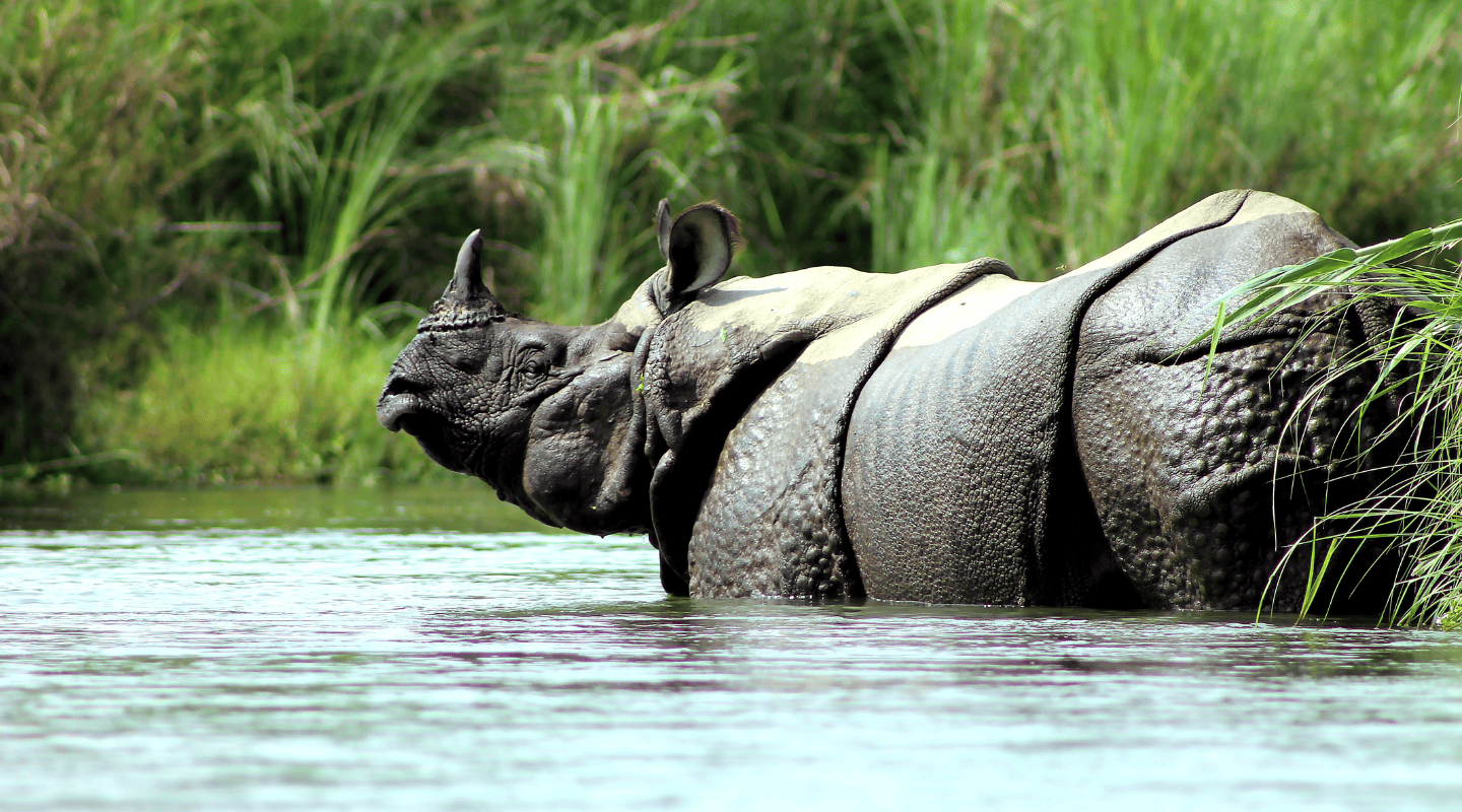 Viajar sola en grupo reducido Nepal