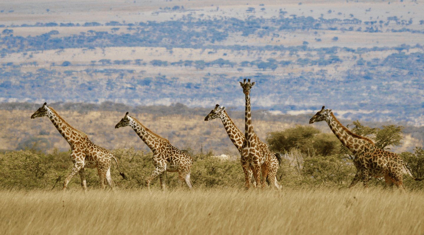 Viajar sola en grupo reducido Tanzania