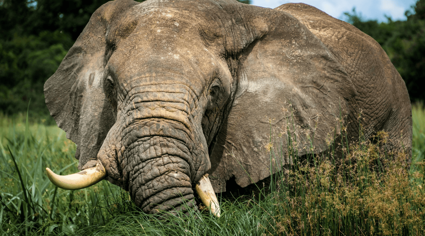 Uganda Viajar sola en grupo reducido Uganda Viajar sola en grupo reducido