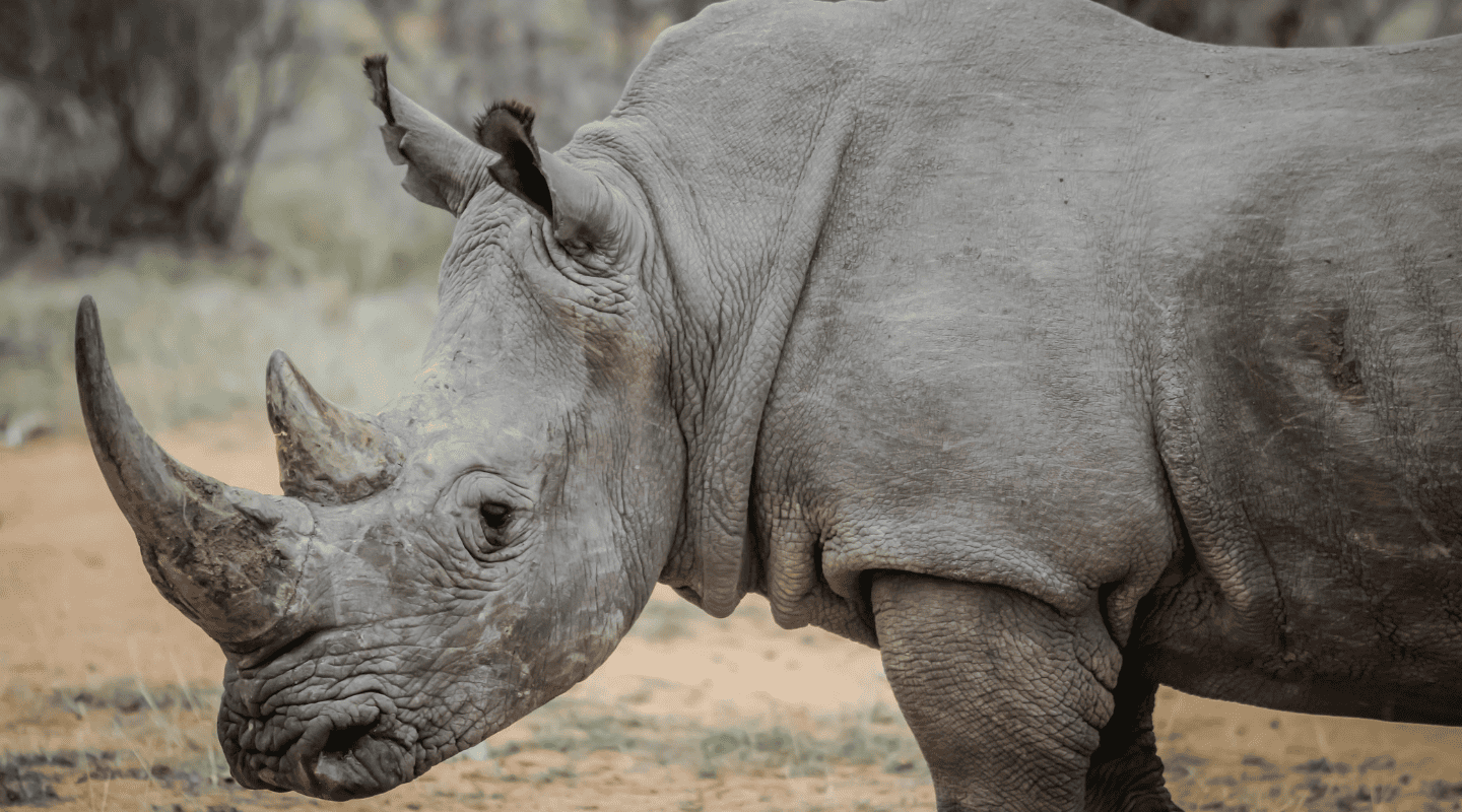 Uganda Viajar sola en grupo reducido