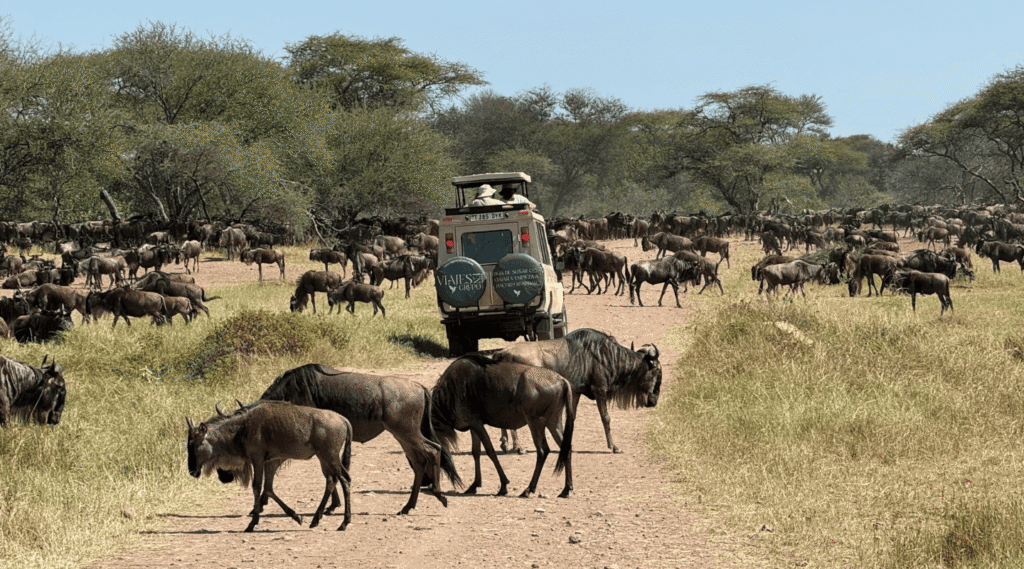 Aventura en Tanzania en grupo reducido