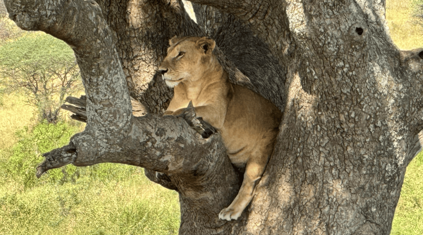 Viajar sola en grupo reducido Tanzania