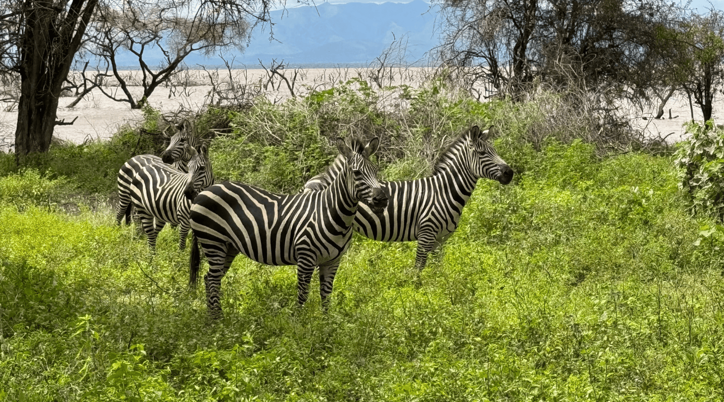 Viajar sola en grupo reducido Tanzania