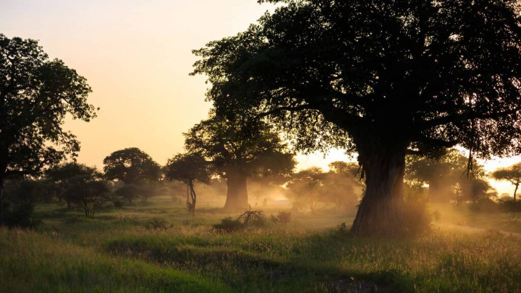 conocenos viajes en grupo
