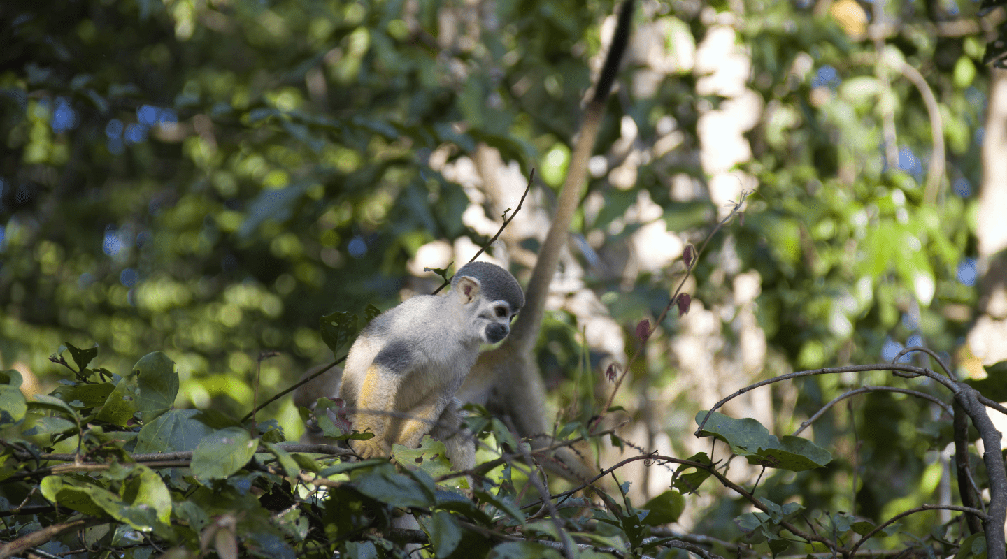Perú y Amazonas Viajar sola en grupo reducido