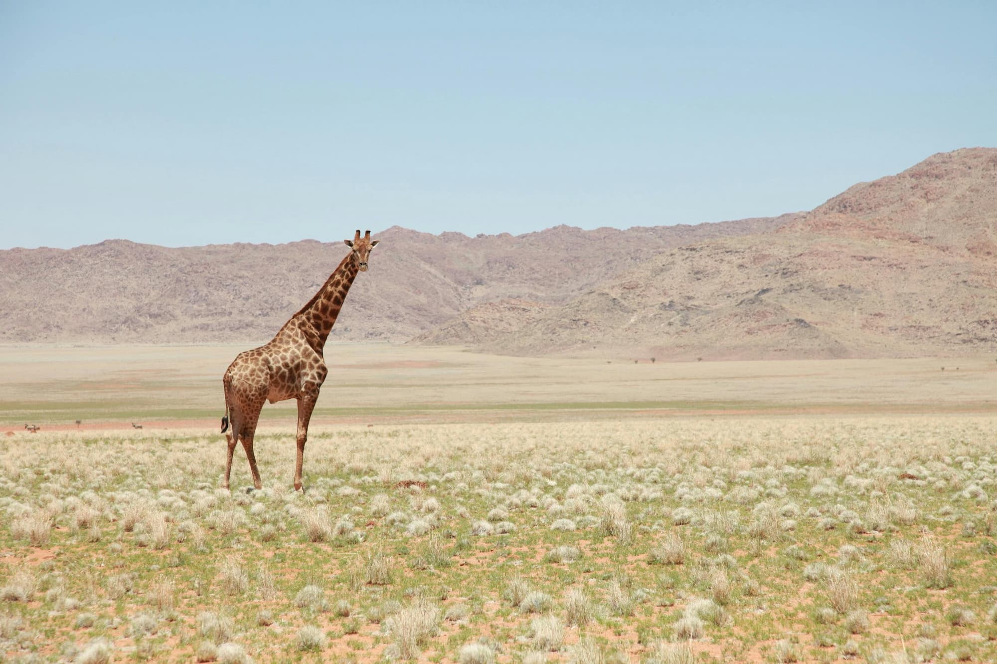 Tanzania viajes en grupo reducido